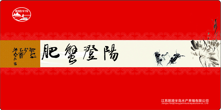 卡券1.jpg